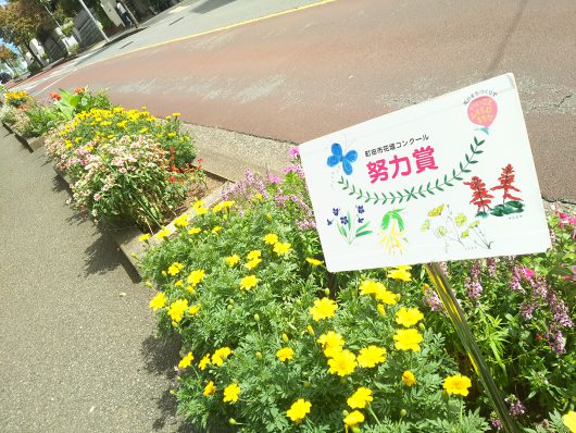 🍂10月も終わり🍠