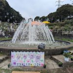 町田市民スポーツ柔道大会＆柔道連盟創立60周年式典＆町田ダリア園４０周年＆鶴川二丁目秋祭りへ