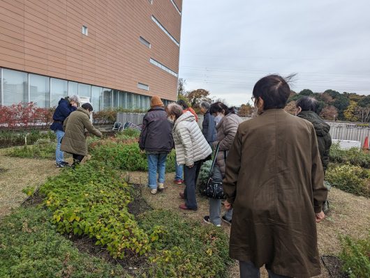 町田市庁舎屋上花畑で採ったハーブ等を使ってクリスマスリース作り