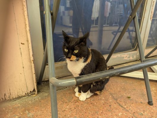 鶴川団地・セントラル商店会へ